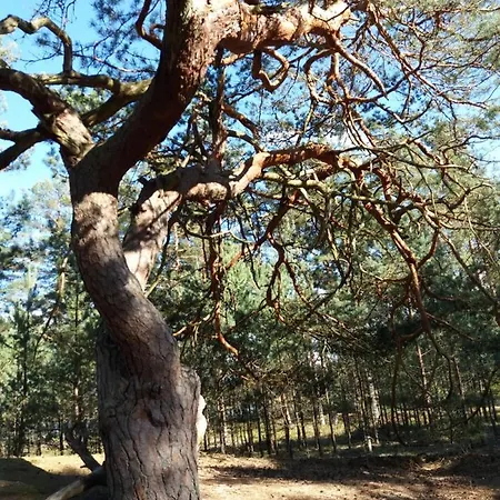 بيت للعطل Osada Rybacka