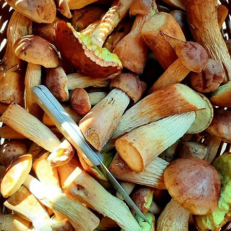 Osada Rybacka بيت للعطل كوبالينو