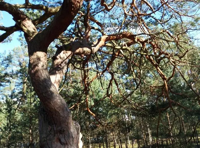 Prázdninový dům Osada Rybacka