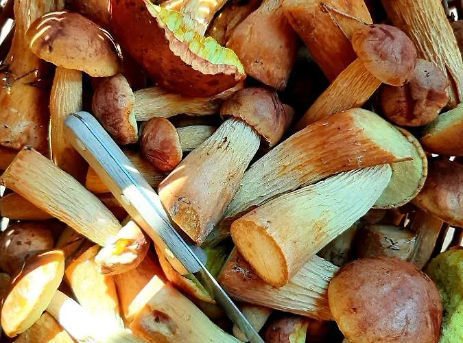 Osada Rybacka Prázdninový dům Kopalino